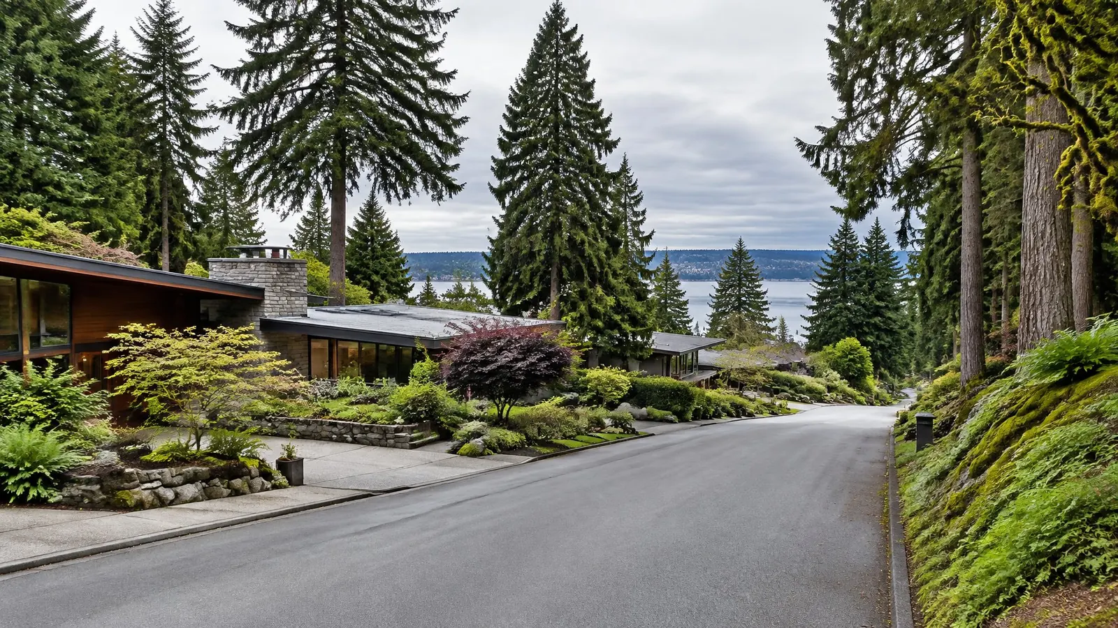 Mid-century and modern homes on a wooded street with glimpses of Lake Washington